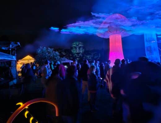 Whippersnap Music & Arts Festival 2027 – Brooksville, USA