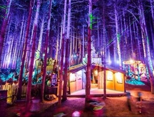Electric Forest 2026 – Rothbury, United States