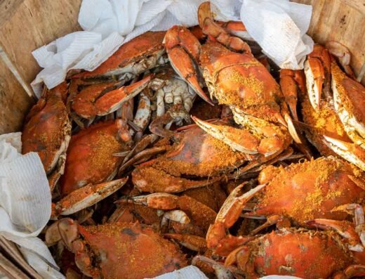 Maryland Seafood Festival 2026 – Annapolis, USA