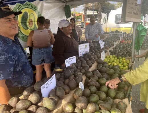 California Avocado Festival 2026 – Carpinteria, United States