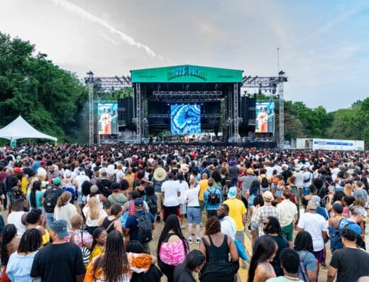 Roots Picnic