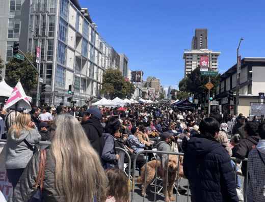 Festival de los Cerezos en Flor del Norte de California 2027 – San Francisco, EE. UU.