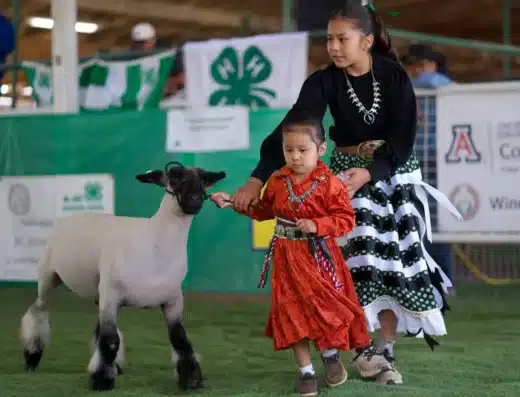 Feria de la Nación Navajo 2026 – Window Rock, Estados Unidos