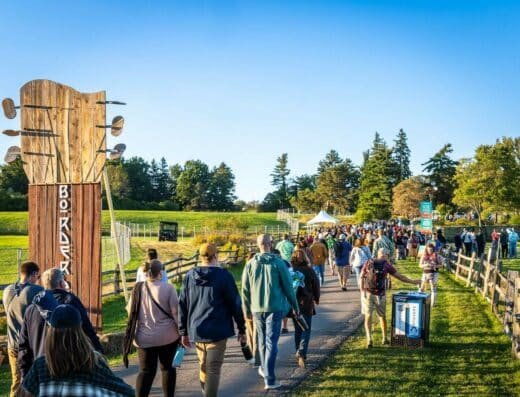 Borderland Music and Arts Festival 2026 – East Aurora, United States